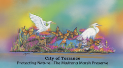 Torrance-Rose-Parade-Float-Protecting-Nature