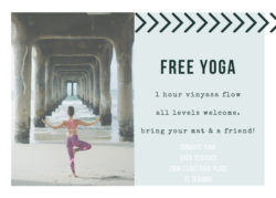 Vinyasa-Flow-Free-Class